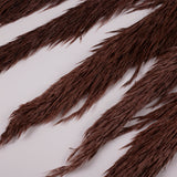 Pampas Grass, Preserved, Chocolate, Bunch