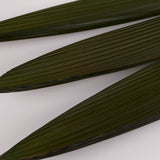 Grass Palm Leaves, Preserved, Green, 70-90cm, Bunch x 3