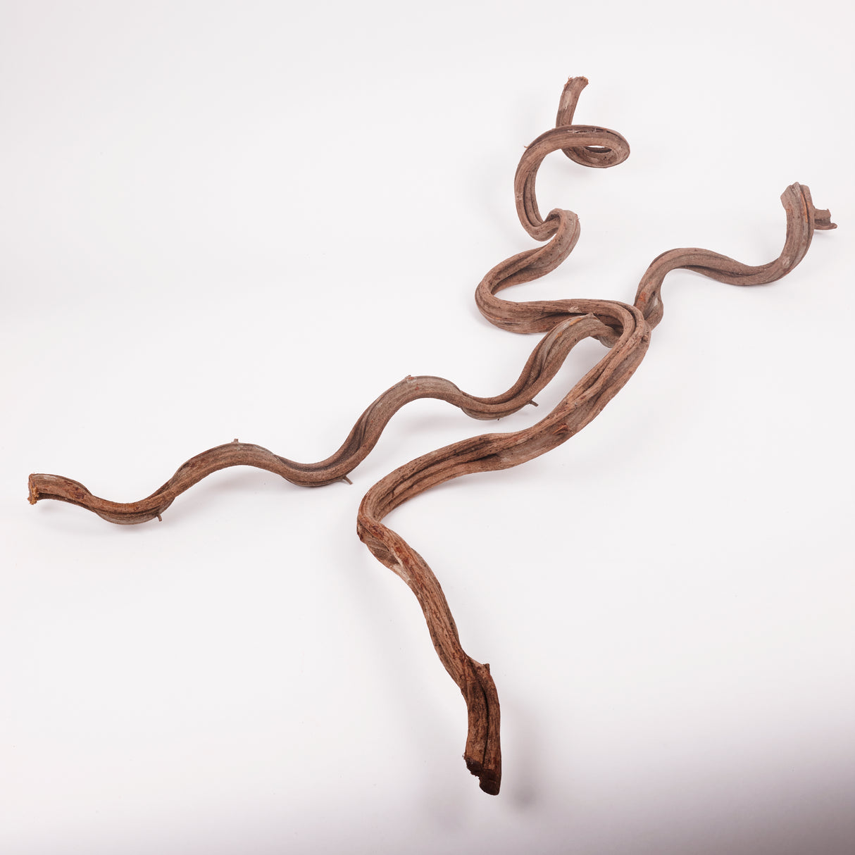Liana (Jungle Wood), Natural, 2-3cm diam, 100cm