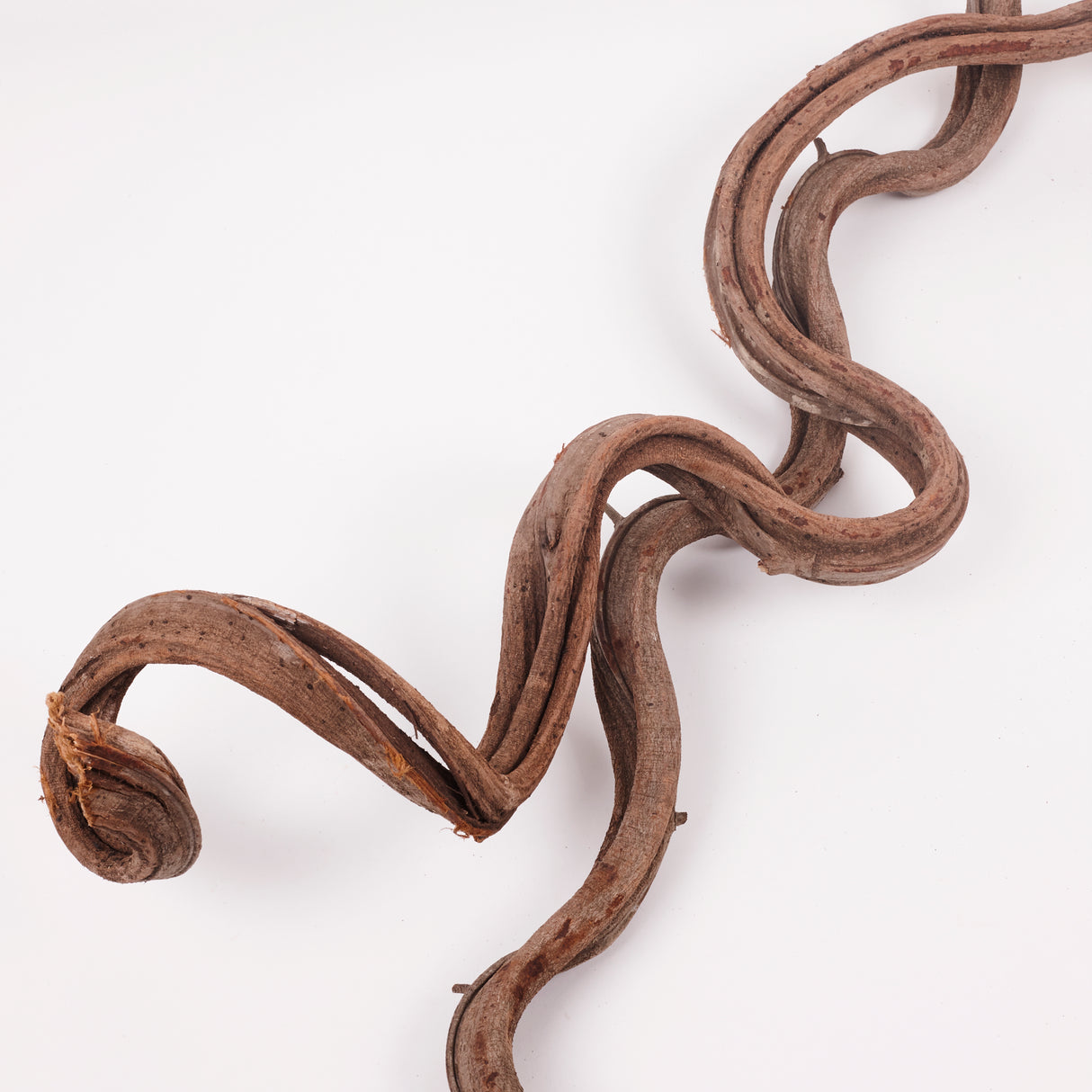Liana (Jungle Wood), Natural, 2-3cm diam, 100cm