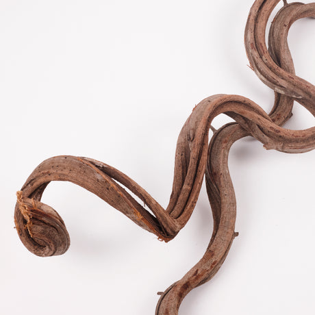 Liana (Jungle Wood), Natural, 2-3cm diam, 100cm