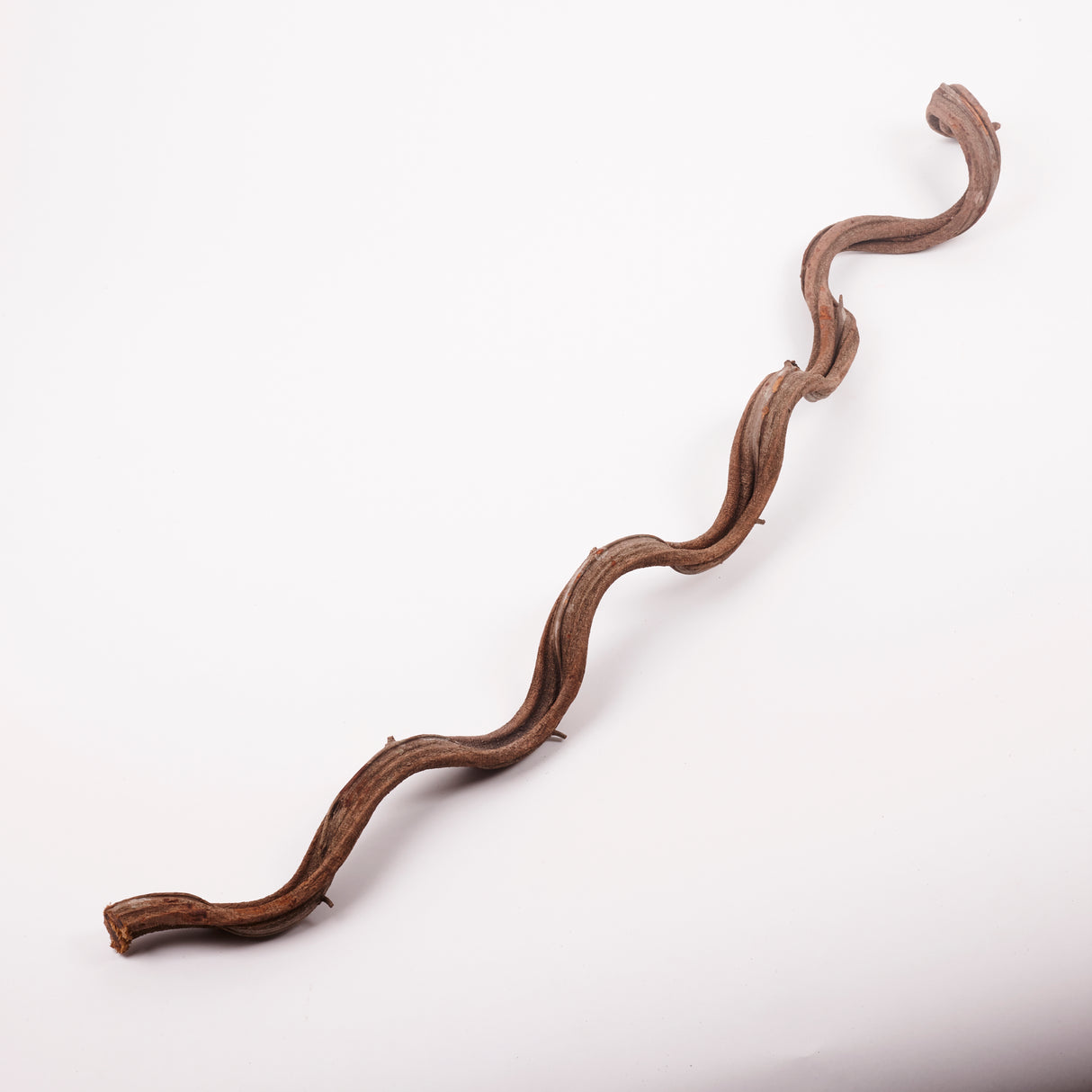 Liana (Jungle Wood), Natural, 2-3cm diam, 100cm