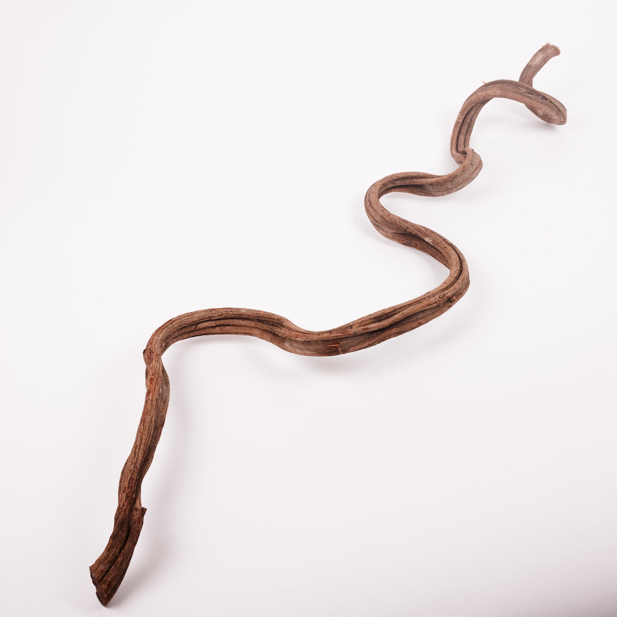 Liana (Jungle Wood), Natural, 2-3cm diam, 100cm