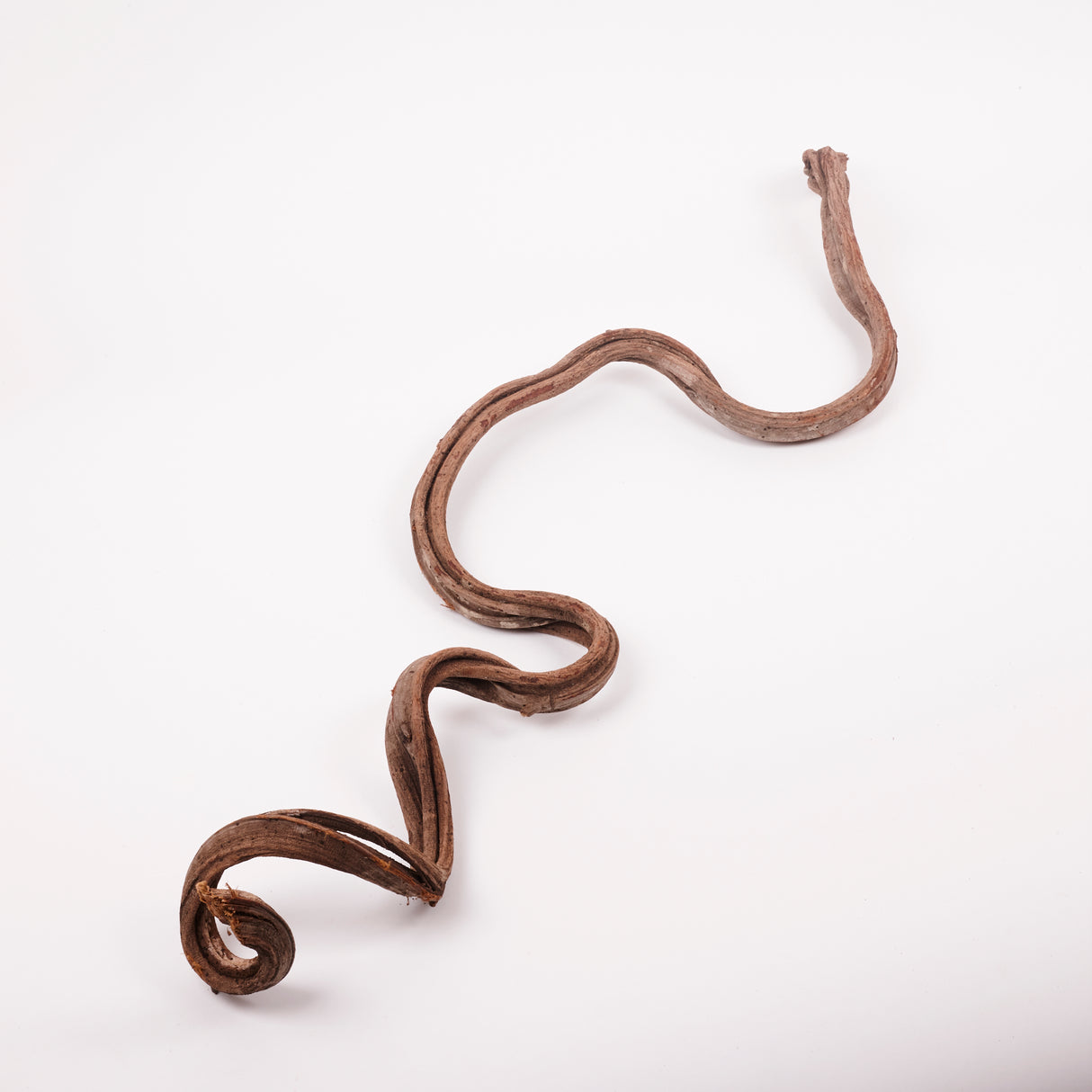 Liana (Jungle Wood), Natural, 2-3cm diam, 100cm