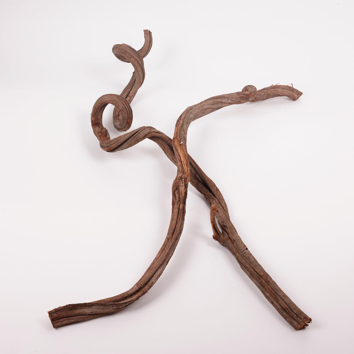 Liana (Jungle Wood), Natural, 4-5cm diam, 100cm