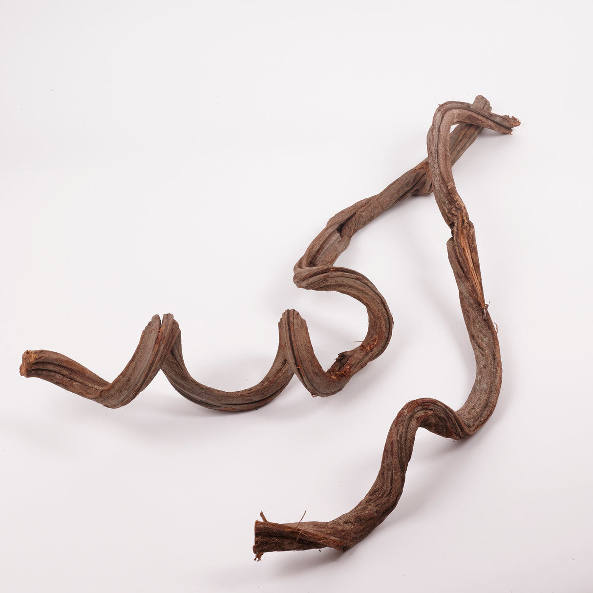 Liana (Jungle Wood), Natural, 4-5cm diam, 100cm
