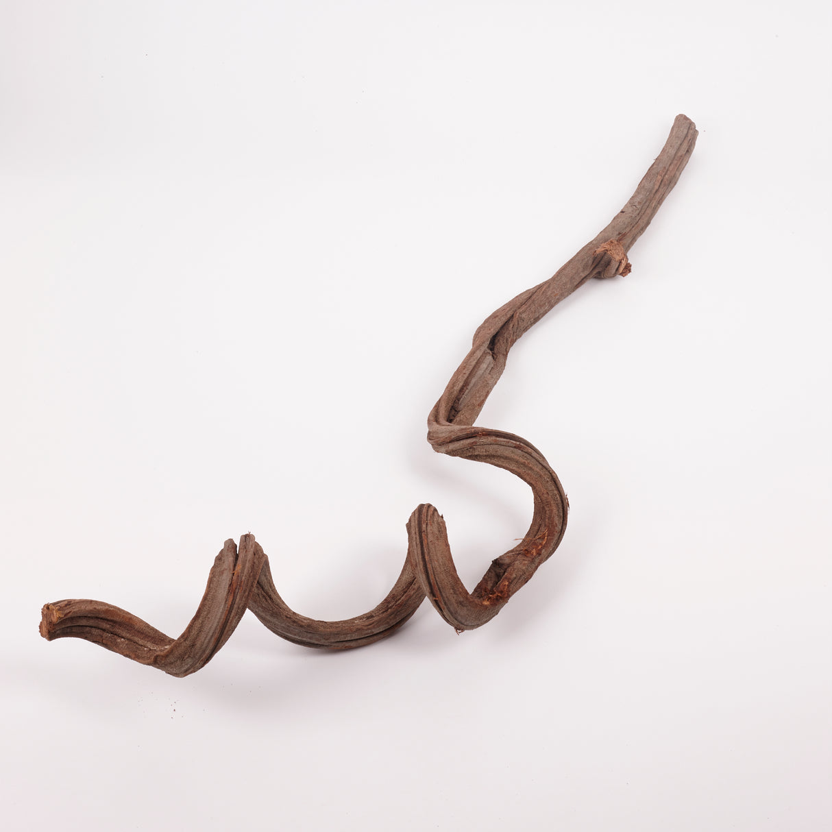 Liana (Jungle Wood), Natural, 4-5cm diam, 100cm