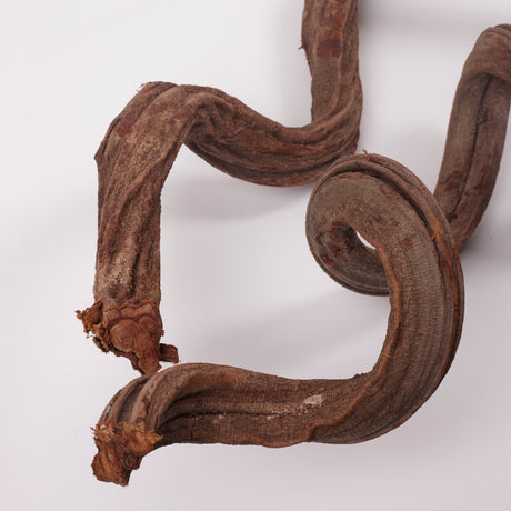 Liana (Jungle Wood), Natural, 4-5cm diam, 100cm