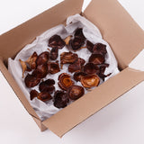 Kalix, Medium, Natural & Dried, Lacquered, 25 Pcs per Box