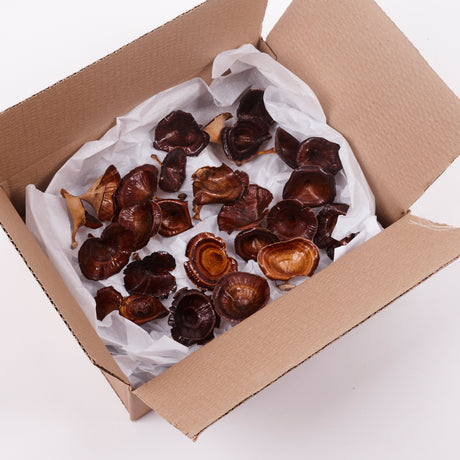 Kalix, Medium, Natural & Dried, Lacquered, 25 Pcs per Box