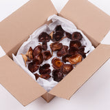 Kalix, Medium, Natural & Dried, Lacquered, 25 Pcs per Box