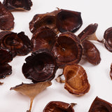 Kalix, Medium, Natural & Dried, Lacquered, 25 Pcs per Box