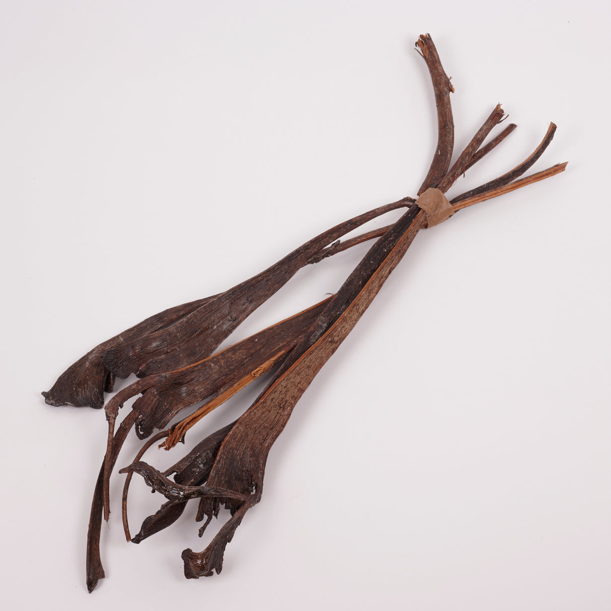 Natraj (Anter Wood), Lacquered, Large, Bunch x 5
