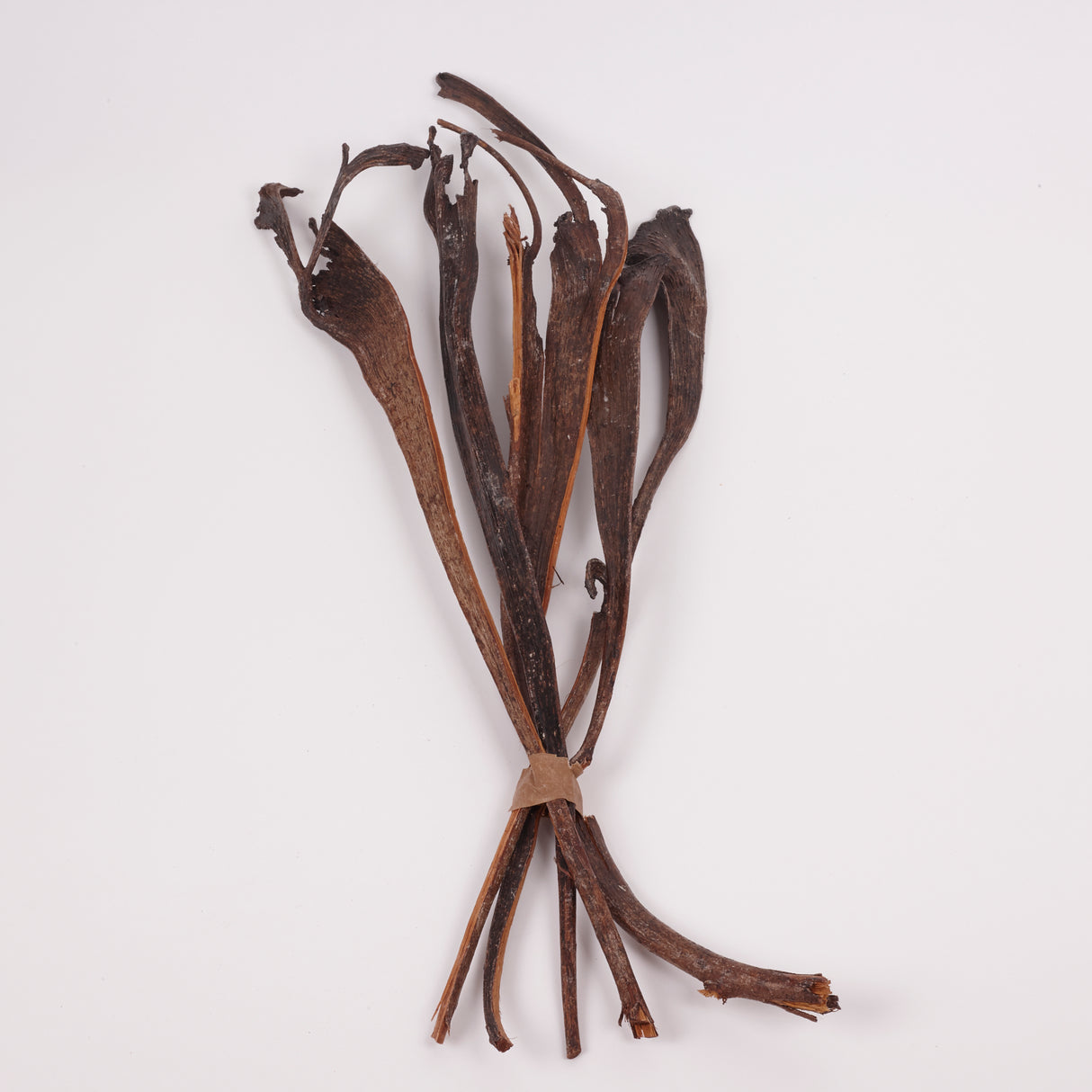 Natraj (Anter Wood), Lacquered, Large, Bunch x 5