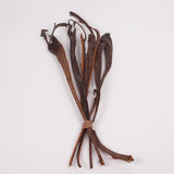 Natraj (Anter Wood), Lacquered, Large, Bunch x 5