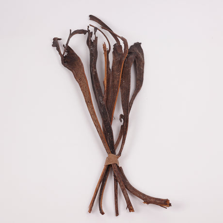 Natraj (Anter Wood), Lacquered, Large, Bunch x 5