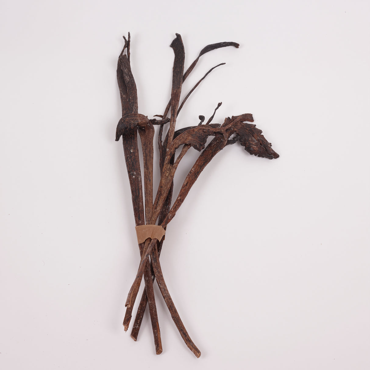 Natraj (Anter Wood), Lacquered, Medium, Bunch x 5