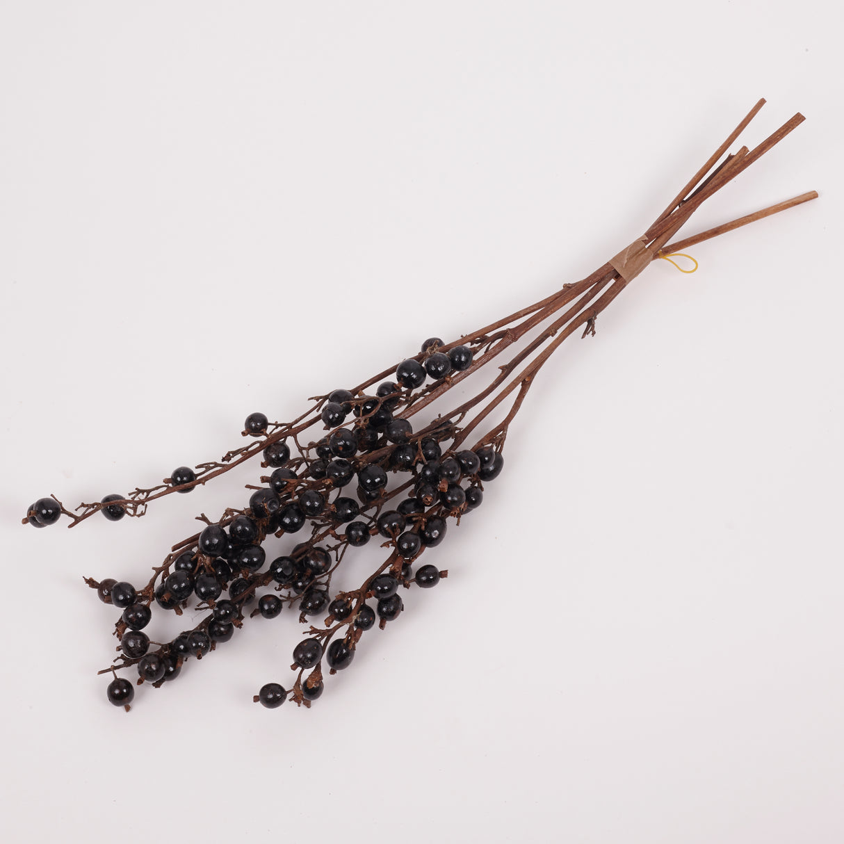 Black Berry Stem, Dried & Lacquered, Bunch x 5