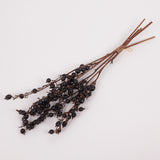 Black Berry Stem, Dried & Lacquered, Bunch x 5