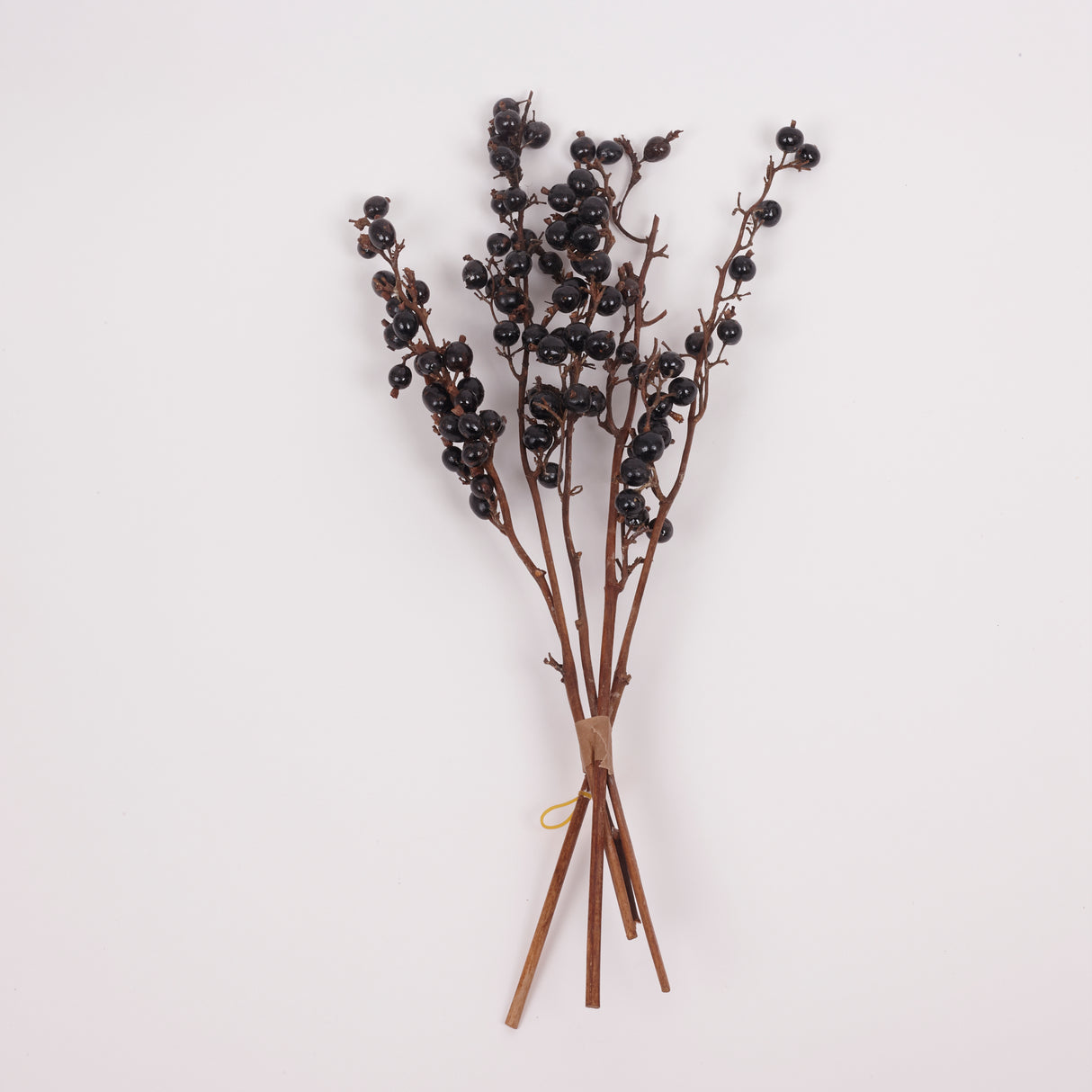 Black Berry Stem, Dried & Lacquered, Bunch x 5