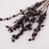 Black Berry Stem, Dried & Lacquered, Bunch x 5