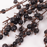 Black Berry Stem, Dried & Lacquered, Bunch x 5