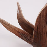 Shoe Horn, Natural & Dried, Extra Large, Bunch x 5