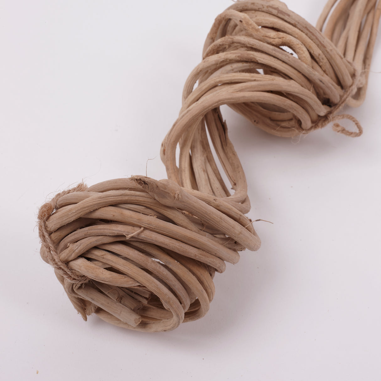 Panchu Spring, Dried, Natural, 10 Stem Bunch