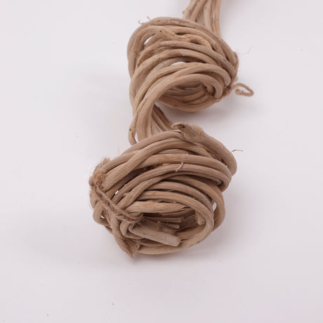 Panchu Spring, Dried, Natural, 10 Stem Bunch