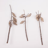 Woody Pear, Natural and Dried, Per Stem
