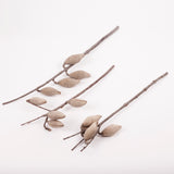 Woody Pear, Natural and Dried, Per Stem