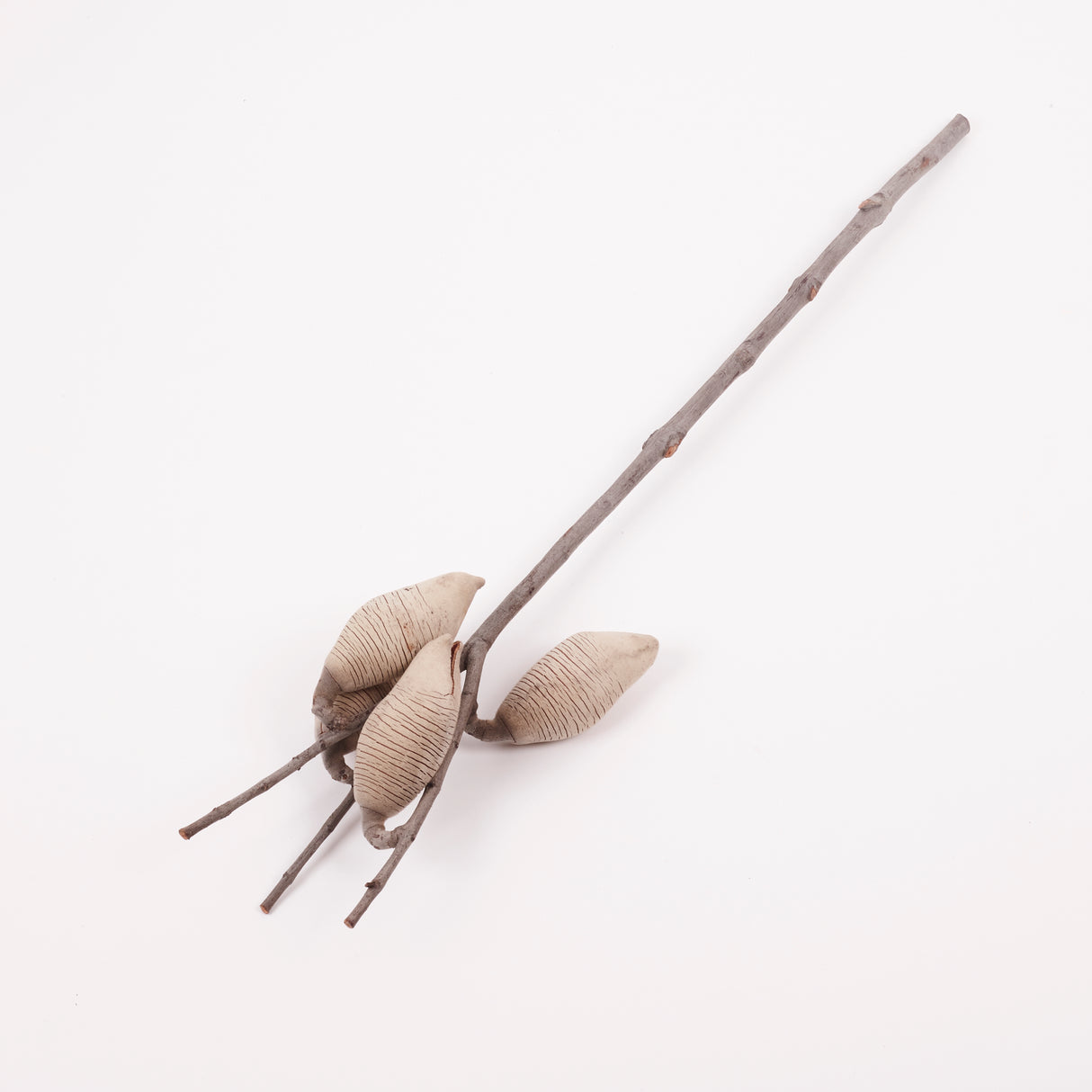 Woody Pear, Natural and Dried, Per Stem