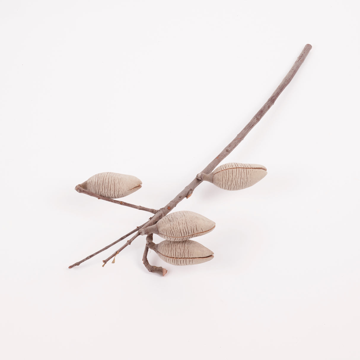 Woody Pear, Natural and Dried, Per Stem