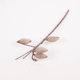 Woody Pear, Natural and Dried, Per Stem