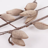 Woody Pear, Natural and Dried, Per Stem
