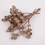 Eucalyptus Bell Gum Nuts, Bunch x 5 Stems