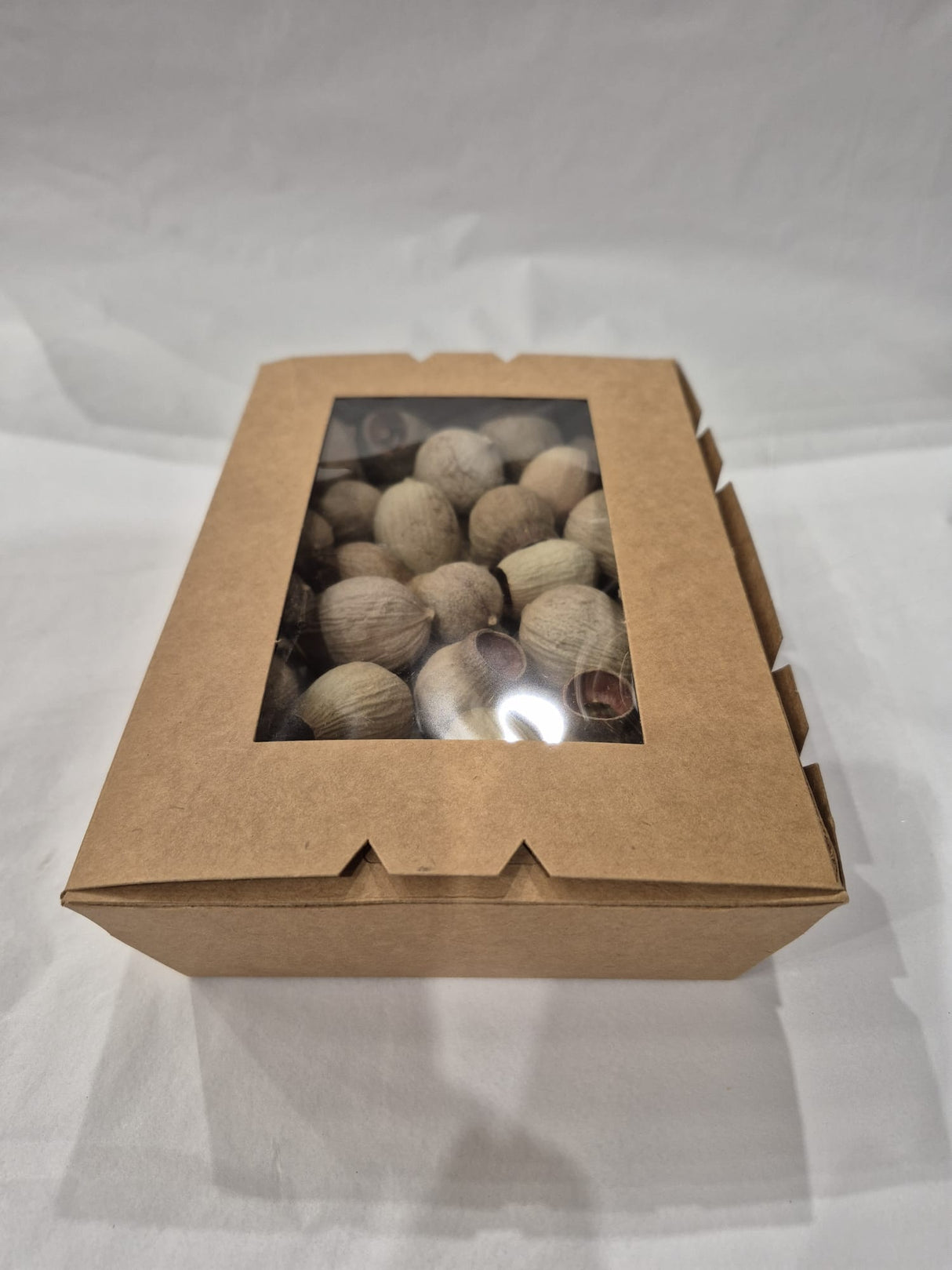 Eucalyptus Bell Gum Nuts, Loose x 300g