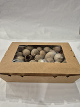 Eucalyptus Bell Gum Nuts, Loose x 300g