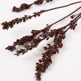 Aristea Pods, Natural, Bunch x 5 Stems