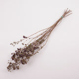 Oregano Flowers, British, Organic, Natural  and Dried, Bunch
