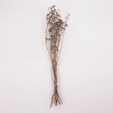 Oregano Flowers, British, Organic, Natural  and Dried, Bunch