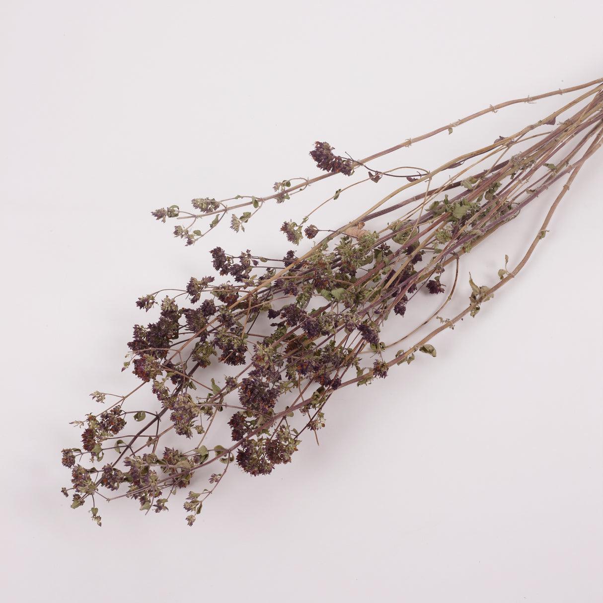 Oregano Flowers, British, Organic, Natural  and Dried, Bunch