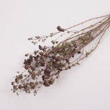 Oregano Flowers, British, Organic, Natural  and Dried, Bunch