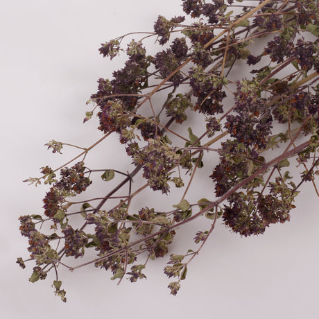 Oregano Flowers, British, Organic, Natural  and Dried, Bunch