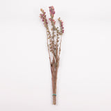 Foxgloves, British, Natural & Dried, Bunch 5 Stems