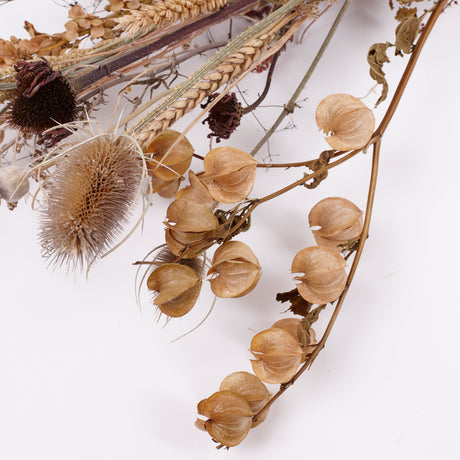 Autumn Mixed Bunch, British, Natural & Dried