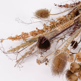 Autumn Mixed Bunch, British, Natural & Dried