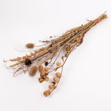 Autumn Mixed Bunch, British, Natural & Dried