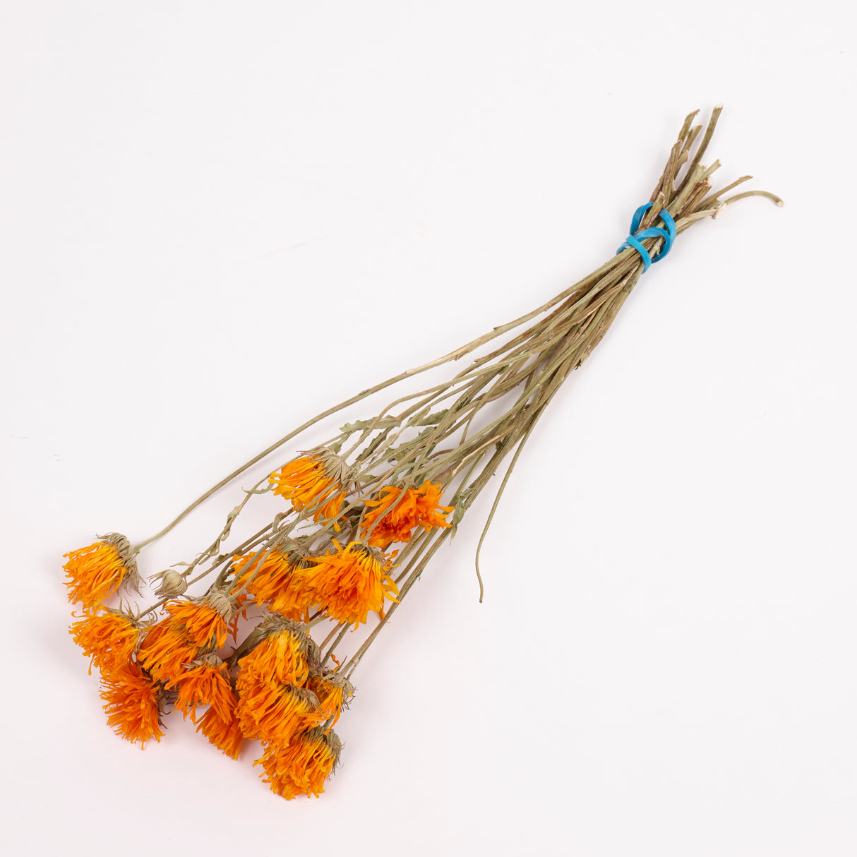 Calendula (Marigold), British, 18-30cm, Bunch x 15