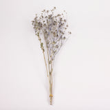 Eryngium, British, Organic, Natural Blue, Bunch